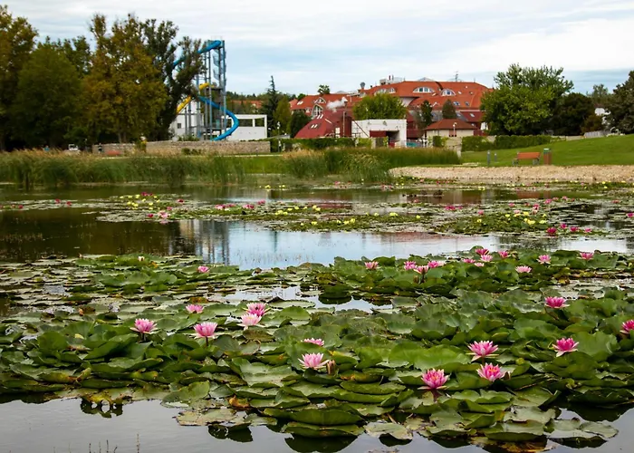Thermal Appartement *
